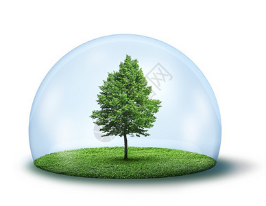 新鲜的全球保护绿树和玻璃茶杯中的青树和草在白色背景上与世隔绝图片