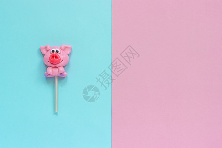 新的庆典蓝粉色背景的红猪鸡棒糖版面概念贺卡蓝粉色背景的猪花软棒之年孩子们图片