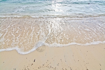沙滩上的泡沫海浪图片