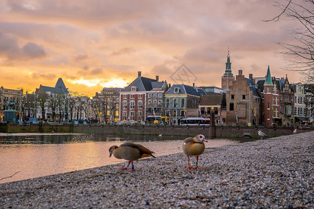 中央荷兰日落时海牙市风景在荷兰中心天际的线空欧洲图片
