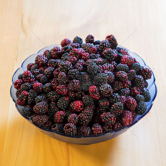一碗野生黑莓在深红和白的阴影下从高空拍摄浆果黑色的新鲜图片
