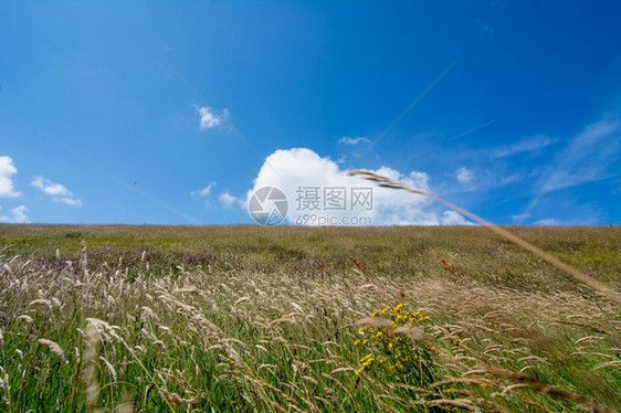 蓝天白云草原风光图片