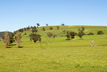 农田天空草澳大利亚新南威尔士州Taralga附近捕获的农村景象图片