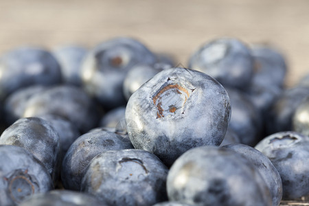 饮食蓝莓果在收获后一起躺关闭蓝莓果收成素食主义者物图片