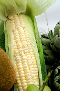 自然一只玉米耳朵口壳部分被粉碎背展示白甜玉米内部的核饮食花园图片
