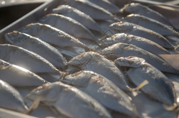 海鲜印度马克尔鱼关闭生食品市场饮图片