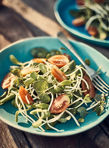 叶子复制营养盘上新鲜蔬菜混合沙拉图片