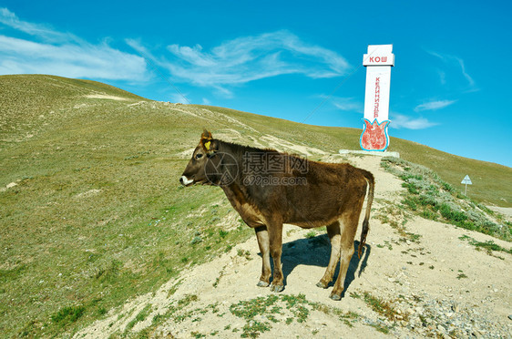 中央八月夏天吉尔斯坦西部贾拉勒阿巴德地区托古兹罗通过区图片