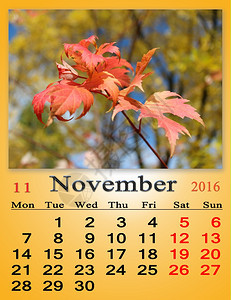 新鲜的2016年月的日历公园里有红叶2016月的日历公园里有红叶秋天为了图片
