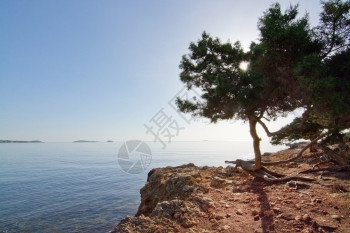 环境晴天有机的12月在西班牙巴利阿里群岛IbizaIbiza松树海洋景观图片