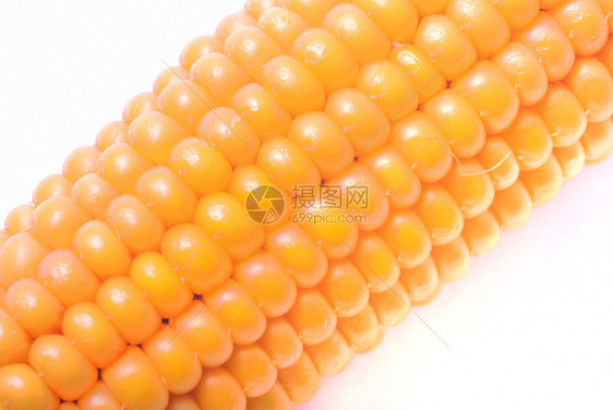 晒干一颗成熟的玉米之耳金子棒图片