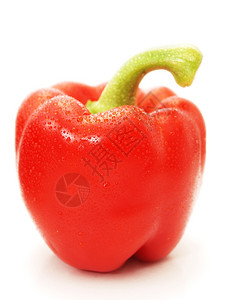 颜色红辣椒蔬菜全向白色背景封闭目的可口图片