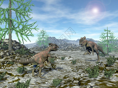 陆用车动物时代景观在沙漠中两只古代恐龙在阳光明媚的白天以亚陆树看对方3D化成考古学恐龙3D化成D设计图片
