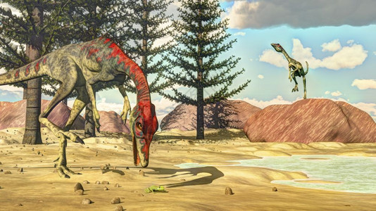 绿色在沙漠中尝试吃青蛙的共生恐龙白天用卡拉米亚树来捕食青蛙3D变成Compongnathus恐龙3D史前大颚兽图片