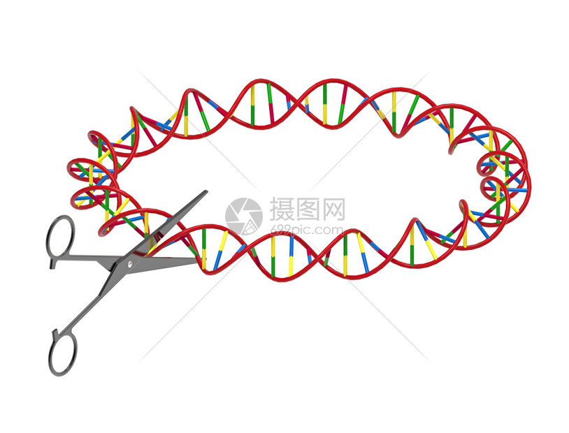 基因切DNA链的剪刀遗传工程3D转化白隔绝遗传上研究图片