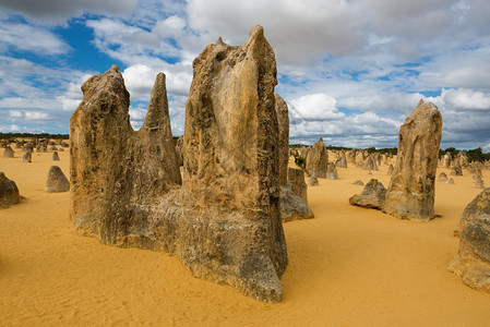 景观西澳大利亚Nambung公园的黄沙丘和石灰柱平角沙漠形成岩石图片