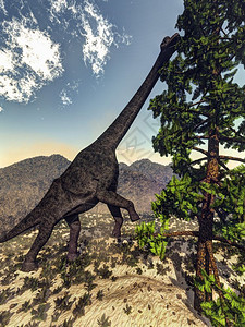 腕龙恐白天吃wollomia松3D渲染腕龙恐吃渲染自然草食动物脊椎图片