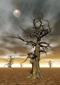 形象的天空经过月光下的死树3D渲染图片