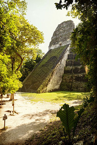 玛雅热带危地马拉著名的蒂卡尔公园第5寺庙佩滕图片