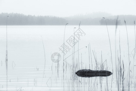 片刻早晨湖上平静的宁时刻薄雾和阴暗的清晨霾图片