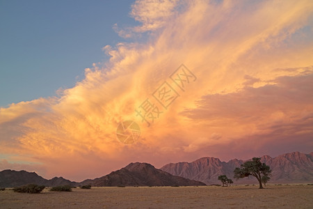 阳光树木生态Namib日落时的沙漠风景有崎岖的山峰和剧烈云雾纳米比亚图片