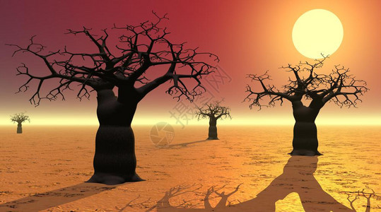 沙漠中4个巴比由日落在沙漠中的巴在沙漠中3D转化树干大量的形象图片