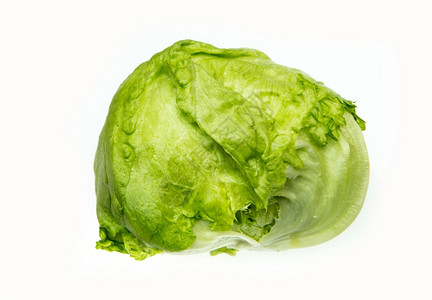 大白菜农业食物白色背景的新鲜绿冰山生菜多汁的背景