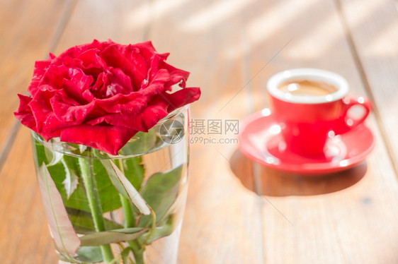 优质的花园美丽桌子装饰着咖啡和红玫瑰股票照片有创造力的图片