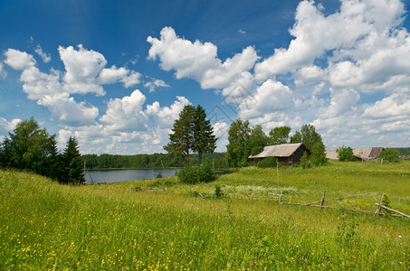 俄语罗斯夏季草地Arkhangelsk地区俄罗斯太阳绿色图片