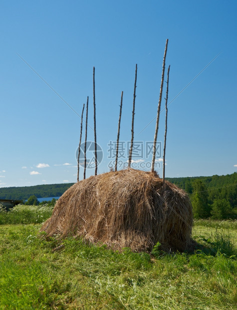 草垛户外自然北俄罗斯草地上的大干堆图片
