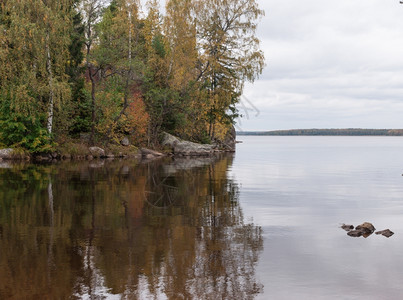 地面树上的秋叶和多云气候中的湖泊风雨树木和湖面秋叶风中阴冷天气的秋叶落下海岸图片
