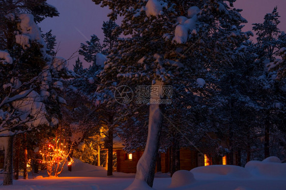 自然在冬季树林的夜晚许多雪房子有灯光和加兰在树上的冬夜之在森林房子和加兰季节黑暗的图片