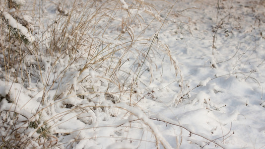 耀斑荣降雪冬季风景天晨光下雪图片
