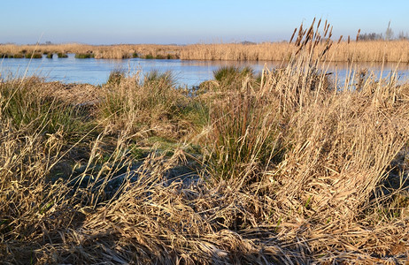 普拉森空气大自然在荷兰用水和草地保护绿色Jonker岛娱乐图片