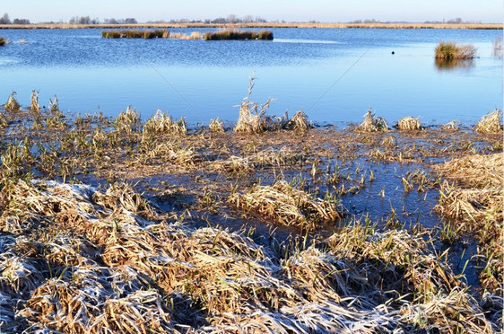 远景娱乐大自然在荷兰用水和草地保护绿色Jonker岛锁图片