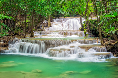 美丽的植物群泰国Kanchanaburi的Srinakarin大坝瓦伊梅卡明瀑布淮图片