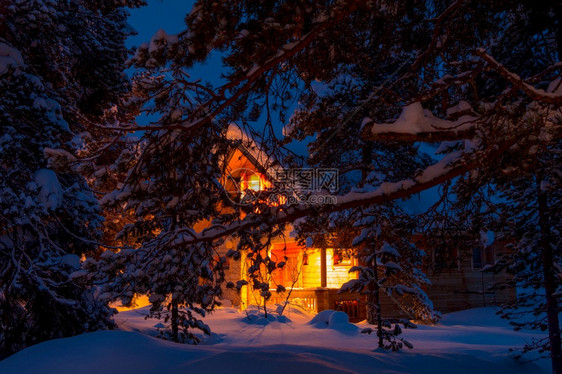 点亮冬季寒森林松树枝在浅薄森林地皮背景的雪白松树分支中有大片雪亮小屋盖覆着深厚的雪花小屋分支机构季节图片