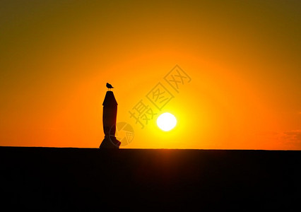 黄鸟在晚午晒太阳时登上邮报风景场海图片