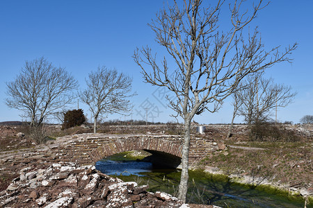 欧洲库尔曼溪流小在瑞典群岛奥兰上架着一座旧石桥图片