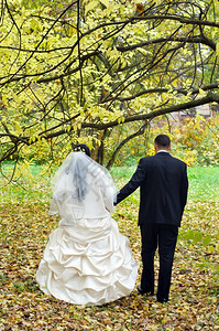 乐趣刚结婚的年轻夫妇在公园玩乐只是结了婚的夫妇庆典时尚图片