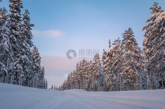 晚上天空芬兰冬森林空无道路冬季森林中许多雪道的白路霜图片