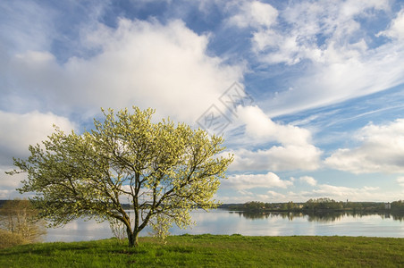 天美丽的在阳光明媚春日在里加DaugavaPromonedade从Daugarva河到Daugava河的景象衬套图片
