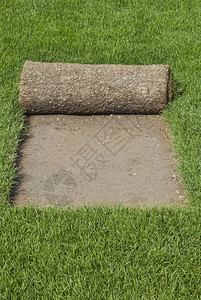 滚动的皮层绿草地毯橄榄球卷户外土壤安装图片