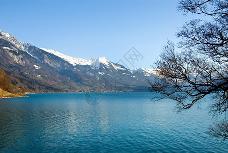 瑞士LacLeman温冬日山脉水蓝色的图片