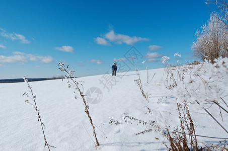 白色的针叶冷冻冬天风景小男孩在雪中玩耍图片