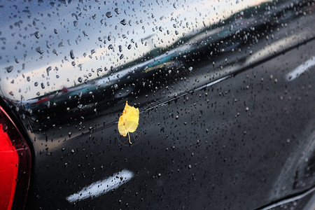 初秋下雨后黑车上的滴和黄叶子落下悲伤自然背景图片