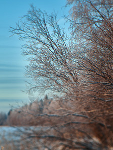 冬天空冷冻季美丽的圣诞风景冰冻和雪湖的海岸图片
