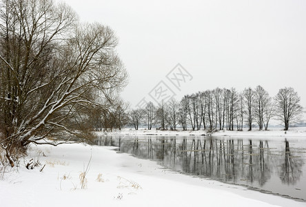 清除温度季节冬积雪河岸冰水和树木图片