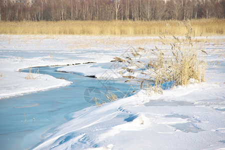 景观在爱沙尼亚Parnu海滩的雪地沿草中跑过紧闭几乎冰冻的小溪四周都是稻草明亮的天空图片