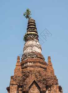 天佛教宝塔古老的砖在历史公园的顶峰上树着小图片